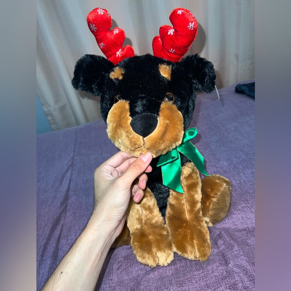 Dog Raindeer